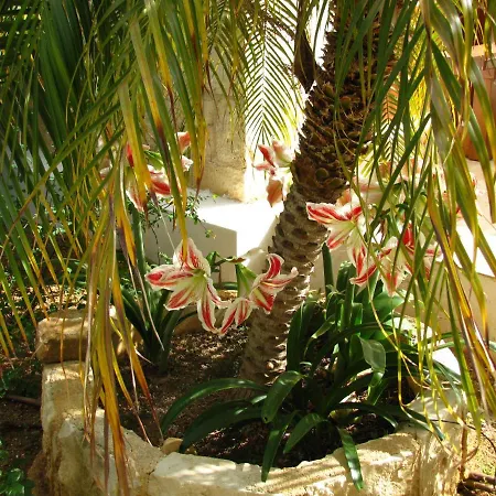 Villa Webooking Konstantinos *