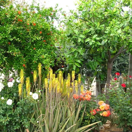 Villa Webooking Konstantinos