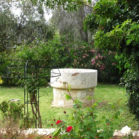 Villa Webooking Konstantinos Argaka